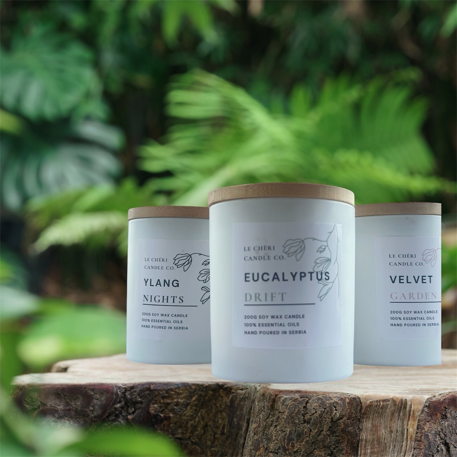 Sanctuary Collection